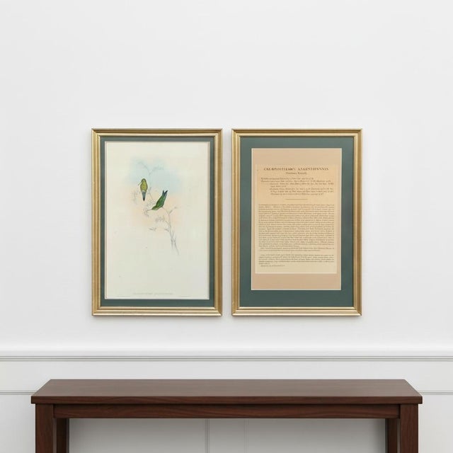 Antique c.1861 John Gould Hummingbird Lithograph & Text Framed Gallery Display For Sale - Image 11 of 11