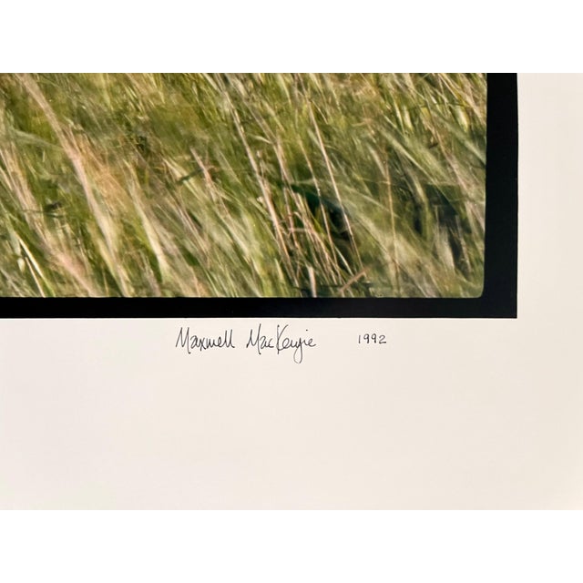 Realism Maxwell Mackenzie, Farm, Summer Landscape, Large Panoramic Vintage Color Photograph Signed Photo, 1992 For Sale - Image 3 of 7