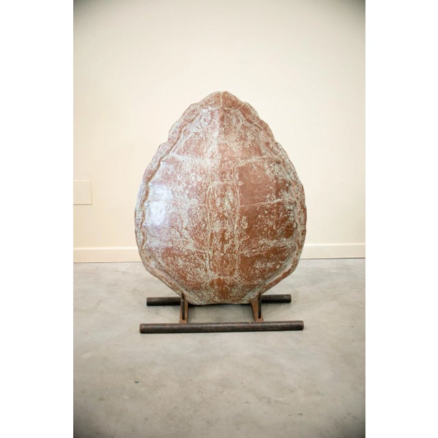 20th Century Fiber Turtle Shell Sculpture with Iron Support For Sale - Image 9 of 9
