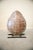 20th Century Fiber Turtle Shell Sculpture with Iron Support For Sale - Image 9 of 9