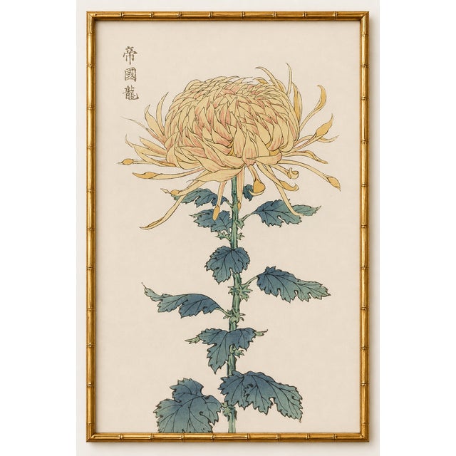 Yellow Mum by Hasegawa, Vintage Japanese Botanical Art Print, 36" X 54" For Sale In Buffalo - Image 6 of 10