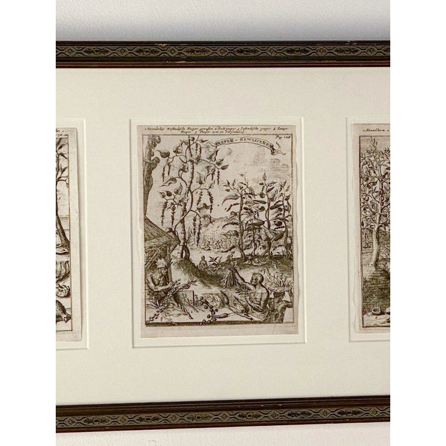 Baroque "Industries and Culture of the West Indies", Dutch, Circa 1660 For Sale - Image 3 of 6