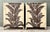 Vintage Irving and Casson Pair of Tall Chests - A Pair For Sale - Image 13 of 14