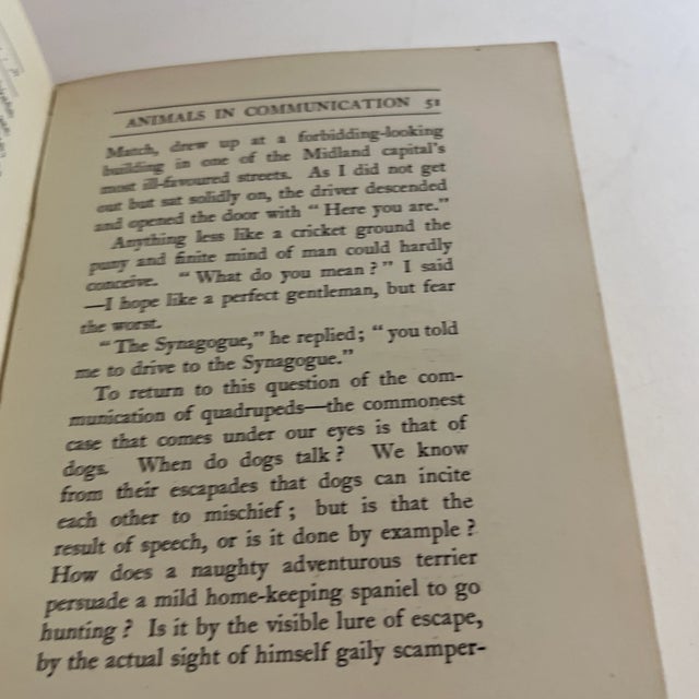 1928 the More I See of Men Dog Book For Sale In New York - Image 6 of 7