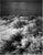 Paul Cooklin, the Crane, Edition of 50 For Sale - Image 4 of 4