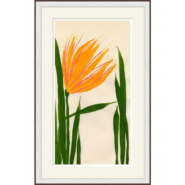 Contemporary Witch Hazel Framed Art Print For Sale - Image 3 of 3