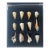 1960s 12 Sea Shells Natural History Soecimen Collection For Sale