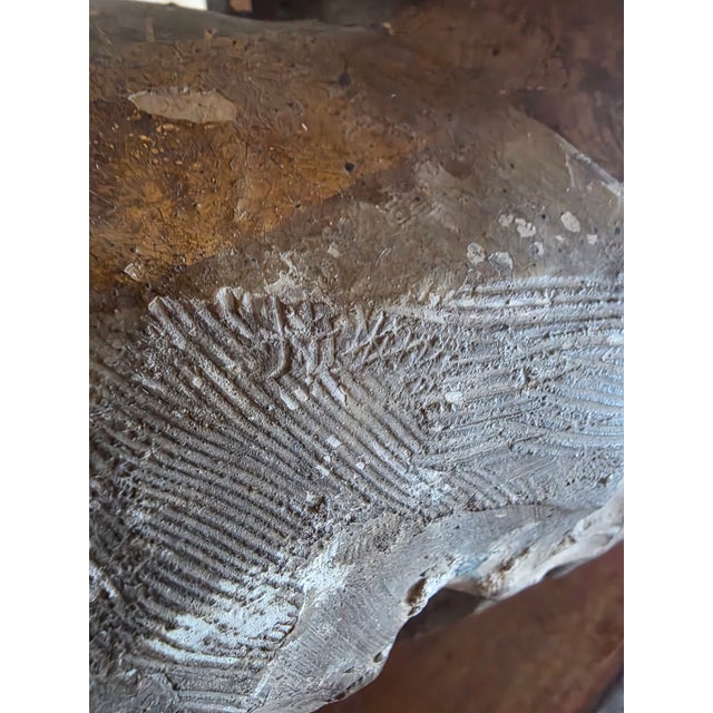 Gold 16th Century Terracotta Bust of a Bearded Man For Sale - Image 8 of 10