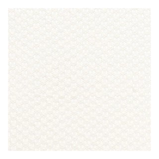 Sample - Schumacher Cosimo Sheer Fabric in Ivory For Sale