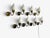 Fog & Mørup, Eight Wall Lights, Brass, Glass, Denmark, 1950s For Sale - Image 13 of 15