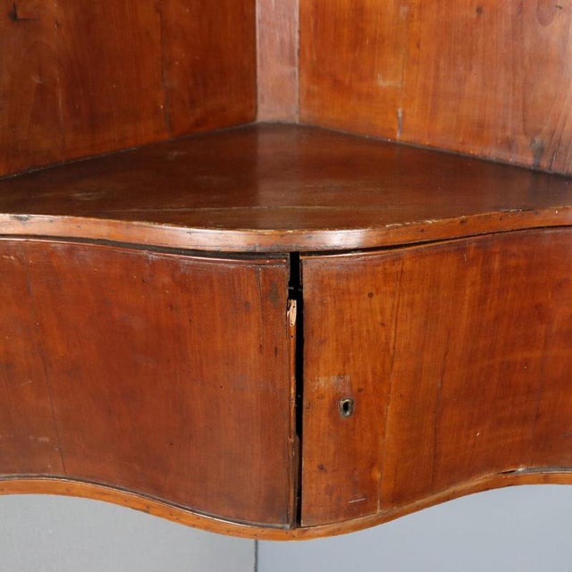 19th Century Hanging Walnut Corner Cabinet, Italy For Sale - Image 6 of 11