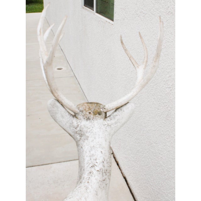Majestic Life-Size Cast Concrete Stag Deer Sculpture, Rustic Garden Accent For Sale In Los Angeles - Image 6 of 8