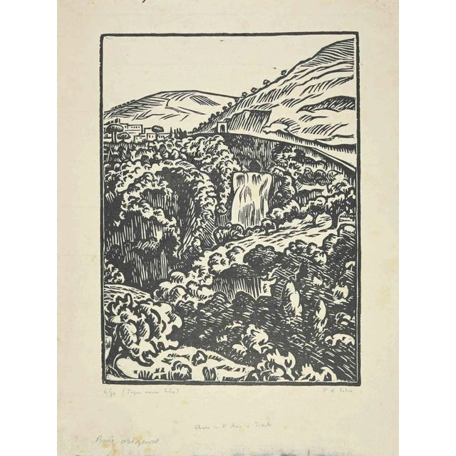 Paul Emile Colin, The Waterfall in Tivoli, Woodcut, 1930s For Sale