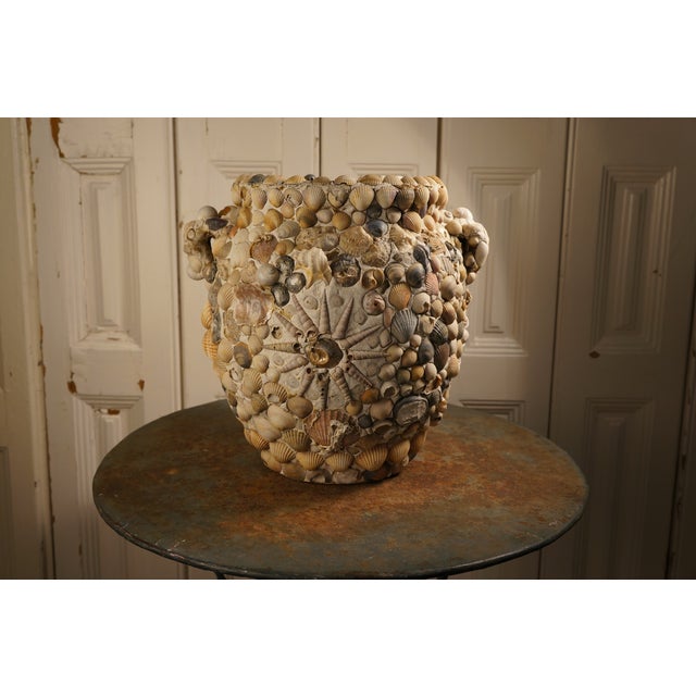 This striking vase is crafted from an intricate mix of clam and snail shells, bringing a touch of the ocean's beauty and...