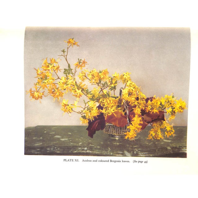 "Winter & Spring Flowers Arranged by Constance Spry" 1953 Spry, Constance For Sale - Image 11 of 13
