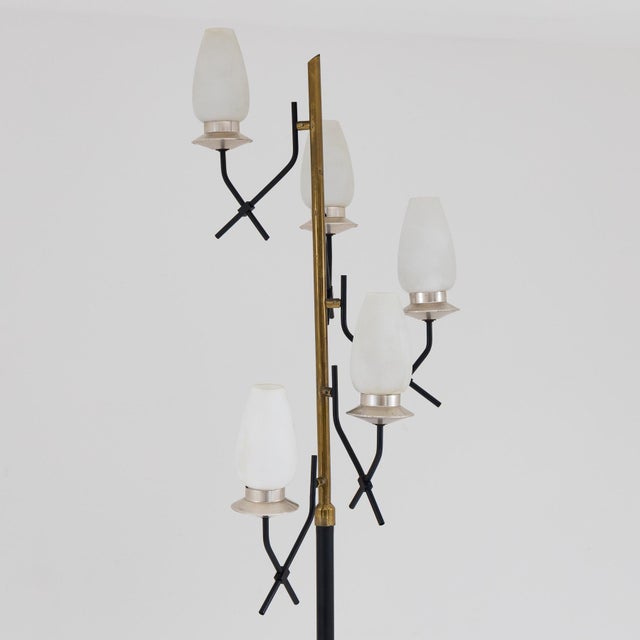 Black Italian Floor Lamp with Five Lights, 1950s For Sale - Image 8 of 9