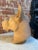 1980s 1980s Italian Terracotta Cane Corso Sculpture For Sale - Image 5 of 9