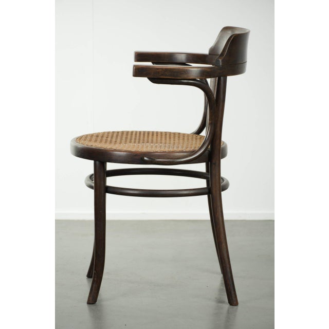Vintage Webbing Armchair in Curved Wood For Sale - Image 5 of 13
