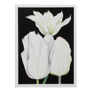 Three Tulips on Black, Lowell Blair Nesbitt