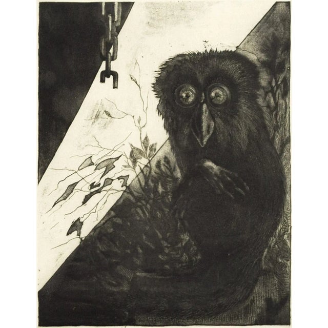 1970s Owl - Original Etching by Leo Guida - 1972 1972 For Sale - Image 5 of 5