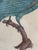 Wood Antique Jacques Barraband Green Parrot Engraving, Plate X V, Early 19th Century, Gilt Framed For Sale - Image 7 of 12