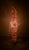 Cream Organic Coastal Sculptural Woven Floor Lamp For Sale - Image 8 of 14