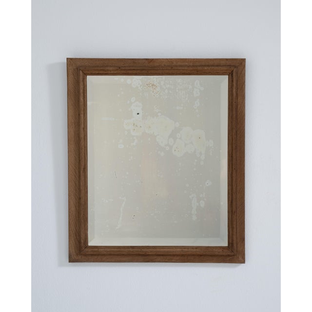 Oak Wall Mirror, Antique, France, 19th Century For Sale In Greensboro - Image 6 of 10