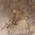 Hickory Chair Ray Booth Collection Shea Swivel Chairs, Pair For Sale - Image 10 of 12