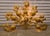 Beautiful Hollywood regency style wall sconce. These features 9 individual lights that illuminate the gold leafs. The...
