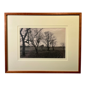 Rare 1992 Tony Marshall Fine Art Photo Print Framed & Matted With Glass Signed