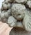 Vintage Concrete Garden Fruit Baskets Statues, a Pair For Sale - Image 13 of 14