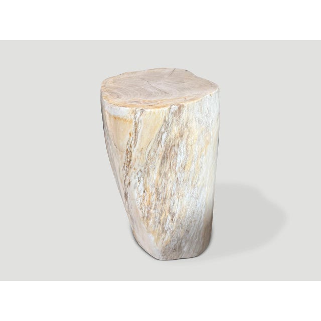 Andrianna Shamaris Minimalist Modern Organic Petrified Wood Side Table For Sale - Image 4 of 5