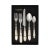 The Aladdin Antique Flatware Five-Piece Place Setting - service for one guest - features elegant pearlized handles with...