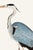 Paper Gray Heron, Vintage Bird Art Print Reproduction, 24" X 36" For Sale - Image 7 of 10