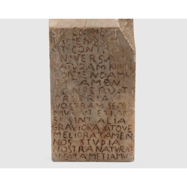 Abstract Maria Dompe, Lady, Marble and Fabric Conceptual Abstract Sculpture Maria Dompe For Sale - Image 3 of 8