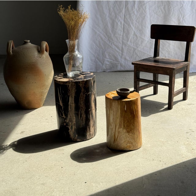 Brutalist Side Table in Black Petrified Wood with Beige Striations and a Circular Arc For Sale - Image 3 of 18