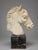 Grand Tour–Style Marble Horse Head on a Marble Plinth, Italian C. 1900 For Sale - Image 9 of 14