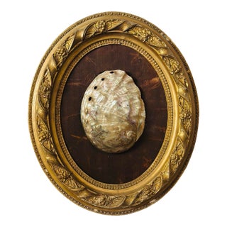 Antique Shell Art For Sale