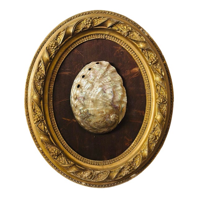 Antique Shell Art For Sale