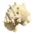 Vintage Monumental Plaster Over Resin Conch Shell For Sale