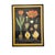 Mid-Century Modern Large Framed Jung Koch Quentell Tulip Botanical Chart With Original Frame and Mat, West Germany, 1974 For Sale - Image 3 of 9