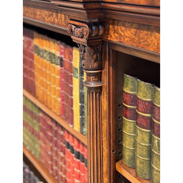 Antique William IV Burr Walnut Bookcase, 1840 For Sale - Image 14 of 16