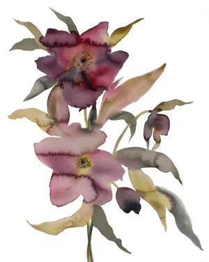 "Hellebore No. 38" Contemporary Original Botanical Flowers Watercolor Painting by Elizabeth Becker