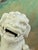 Mid-Century Modern Vintage Blanc De Chine Chinese Ceramic Foo Dogs a Pair For Sale - Image 3 of 8