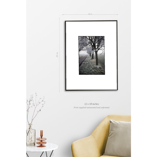 Paul Cooklin, Frosty Trees, Occold, Suffolk, Edition of 50 For Sale - Image 4 of 7