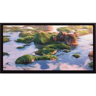 Shallow Focus by Judd Mercer | Oil On Panel Landscape with rocks and greenery in water. For Sale
