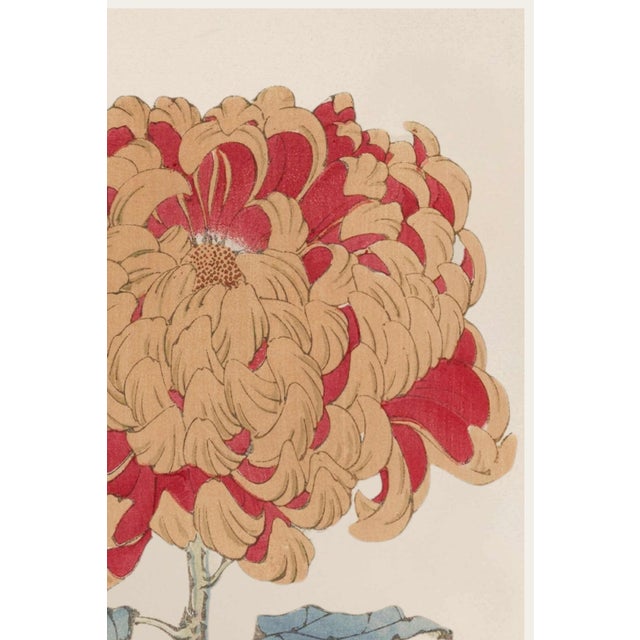 Japanese Red Chrysanthemum Giclée, Vintage Japanese Botanical Art Print, 12" X 18" For Sale - Image 3 of 9