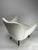 White Set of Perla Armchairs in Wood & White Fabric attributed to Guglielmo Veronesi, Isa, Italy, 1950s For Sale - Image 8 of 10