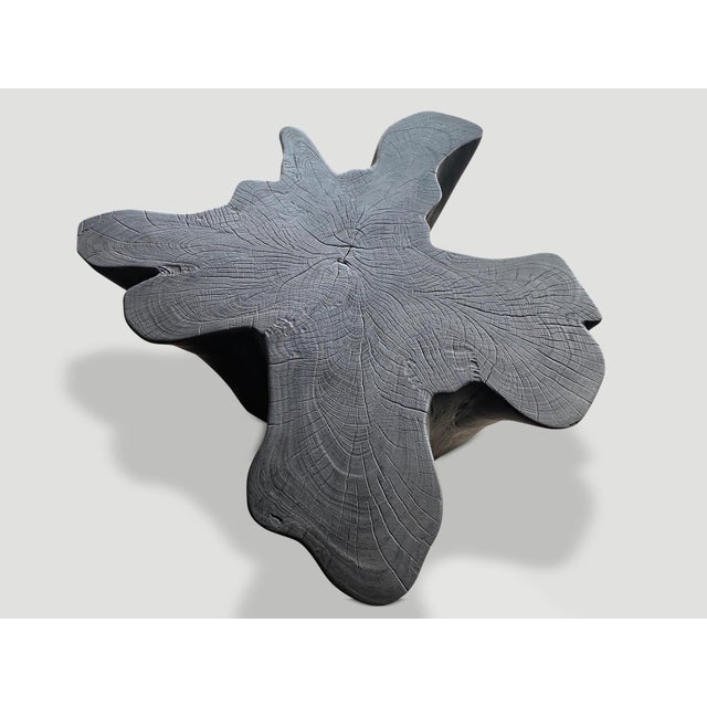 Andrianna Shamaris Sculptural Charred Teak Wood Coffee Table For Sale - Image 10 of 18