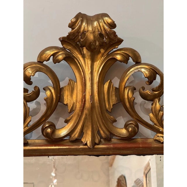 Large, Fine 18th C. Carved Gilt Italian Baroque Mirror For Sale - Image 6 of 8